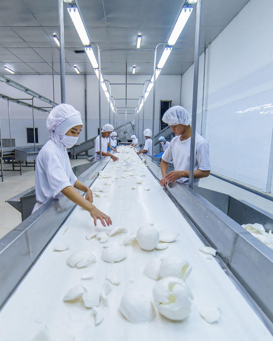 Best Desiccated Coconut Factory - Pandawa Coco Indonesia